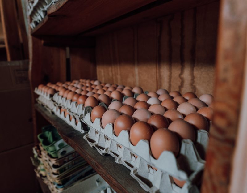 Regionale Lebensmittel aus Hildesheim